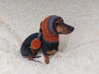 Santa Dog Hat with Pompom: Wool Blend Elf Outfit