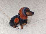 Santa Dog Hat with Pompom: Wool Blend Elf Outfit