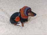 Santa Dog Hat with Pompom: Wool Blend Elf Outfit
