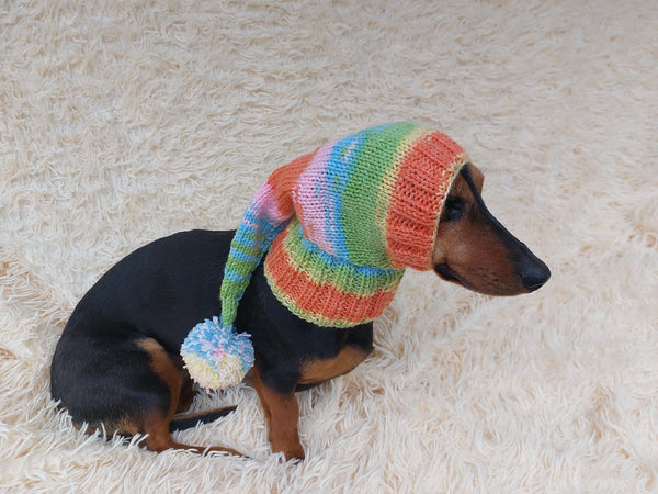 Knitted hat with pom pom for dogs, dachshund hat