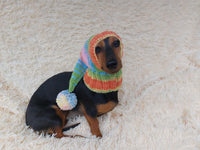 Knitted hat with pom pom for dogs, dachshund hat