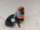 Knitted hat with pom pom for dogs, dachshund hat