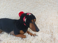 Fly Agaric Mushroom Pet Hat Halloween Amanita Mushroom Dog Clothes