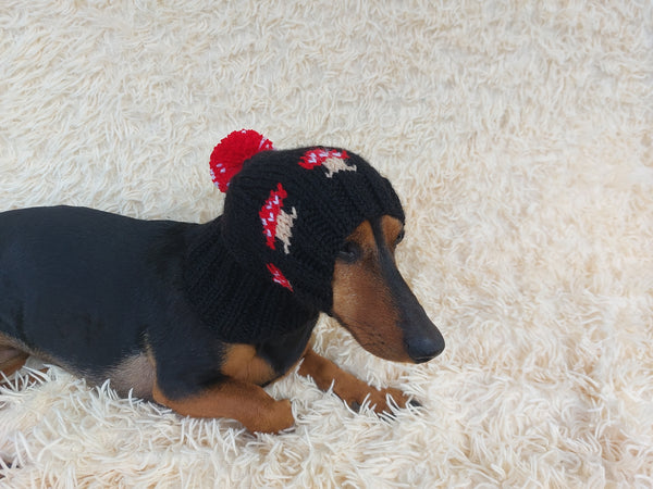 Fly Agaric Mushroom Pet Hat Halloween Amanita Mushroom Dog Clothes