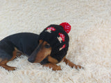 Fly Agaric Mushroom Pet Hat Halloween Amanita Mushroom Dog Clothes