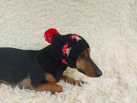 Fly Agaric Mushroom Pet Hat Halloween Amanita Mushroom Dog Clothes