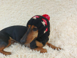 Fly Agaric Mushroom Pet Hat Halloween Amanita Mushroom Dog Clothes