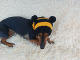 Knitted bee cap for small dog with handmade pompoms