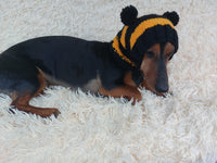 Knitted bee cap for small dog with handmade pompoms