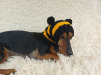 Knitted bee cap for small dog with handmade pompoms