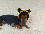 Knitted bee cap for small dog with handmade pompoms