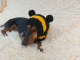 Knitted bee cap for small dog with handmade pompoms