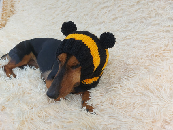 Knitted bee cap for small dog with handmade pompoms