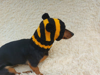 Knitted bee cap for small dog with handmade pompoms