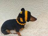 Knitted bee cap for small dog with handmade pompoms