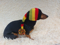 Knitted Christmas Elf Hat for Dachshunds: Wool Blend Dog Costume