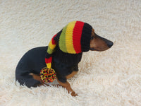 Knitted Christmas Elf Hat for Dachshunds: Wool Blend Dog Costume