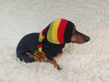 Knitted Christmas Elf Hat for Dachshunds: Wool Blend Dog Costume