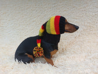 Knitted Christmas Elf Hat for Dachshunds: Wool Blend Dog Costume