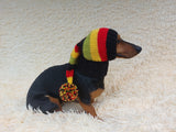 Knitted Christmas Elf Hat for Dachshunds: Wool Blend Dog Costume