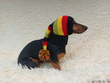 Knitted Christmas Elf Hat for Dachshunds: Wool Blend Dog Costume