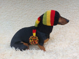 Knitted Christmas Elf Hat for Dachshunds: Wool Blend Dog Costume