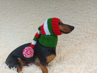 Knitted Wool Blend Santa Hat for Dog: Dachshund Christmas Costume