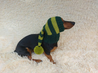 Knitted Wool Blend Santa Hat for Dog: Dachshund Christmas Costume