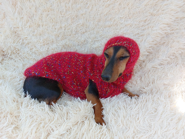 Mohair Dog Sweater and Hat Set: Warm Winter Dachshund Suit