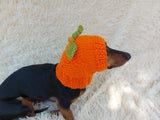 Hat dog pumpkin, hat for dachshunds Halloween pumpkin