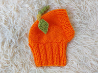 Hat dog pumpkin, hat for dachshunds Halloween pumpkin