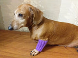 Leggings for dog cat set 4 pieces, leggings for dog,dog gaiters