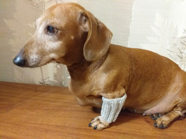 Leggings for dog cat set 4 pieces, leggings for dog,dog gaiters