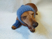 Leggings and hat set for dogs from mohair, leggings and hat for dachshund, warm head and paws for dogs, Dog Legwarmer