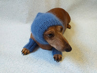 Leggings and hat set for dogs from mohair, leggings and hat for dachshund, warm head and paws for dogs, Dog Legwarmer