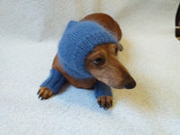 Leggings and hat set for dogs from mohair, leggings and hat for dachshund, warm head and paws for dogs, Dog Legwarmer