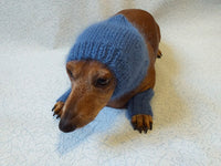 Leggings and hat set for dogs from mohair, leggings and hat for dachshund, warm head and paws for dogs, Dog Legwarmer