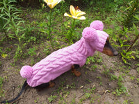 Rabbit dog costume sweater and hat with pom poms, easter clothes costume rabbit bunny with pom poms