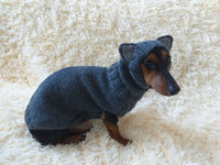 Wolf costume for dog
