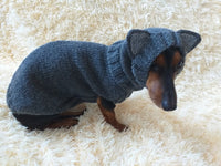 Wolf costume for dog