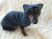 Wolf costume for dog