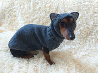 Wolf costume for dog