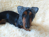 Snood hat for dog wolf