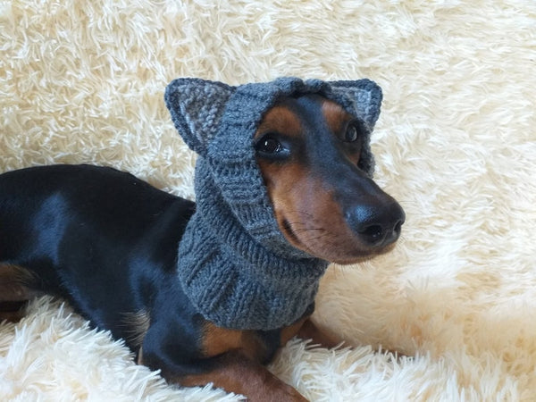 Snood hat for dog wolf