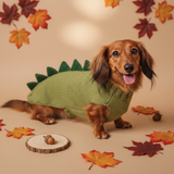 Dachshund dinosaur knitted sweater, dinosaur sweater for dogs, clothes dinosaur knitted sweater for dogs