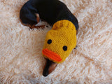 Duck dog clothes hat snood, dachshund snood Duck