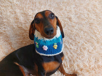 Wool scarf snood for dogs, scarf snood for small dogs, snood for dachshund, scarf for dachshund