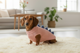 Dog dinosaur knitted clothes sweater, dinosaur sweater for dogs, original dog clothes dinosaur sweater