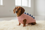 Dog dinosaur knitted clothes sweater, dinosaur sweater for dogs, original dog clothes dinosaur sweater