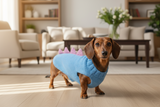 Dinosaur dragon  dog sweater zoo animal dog clothes